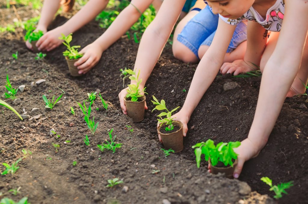 How the Environment Leaders Programme cultivates climate action in schools