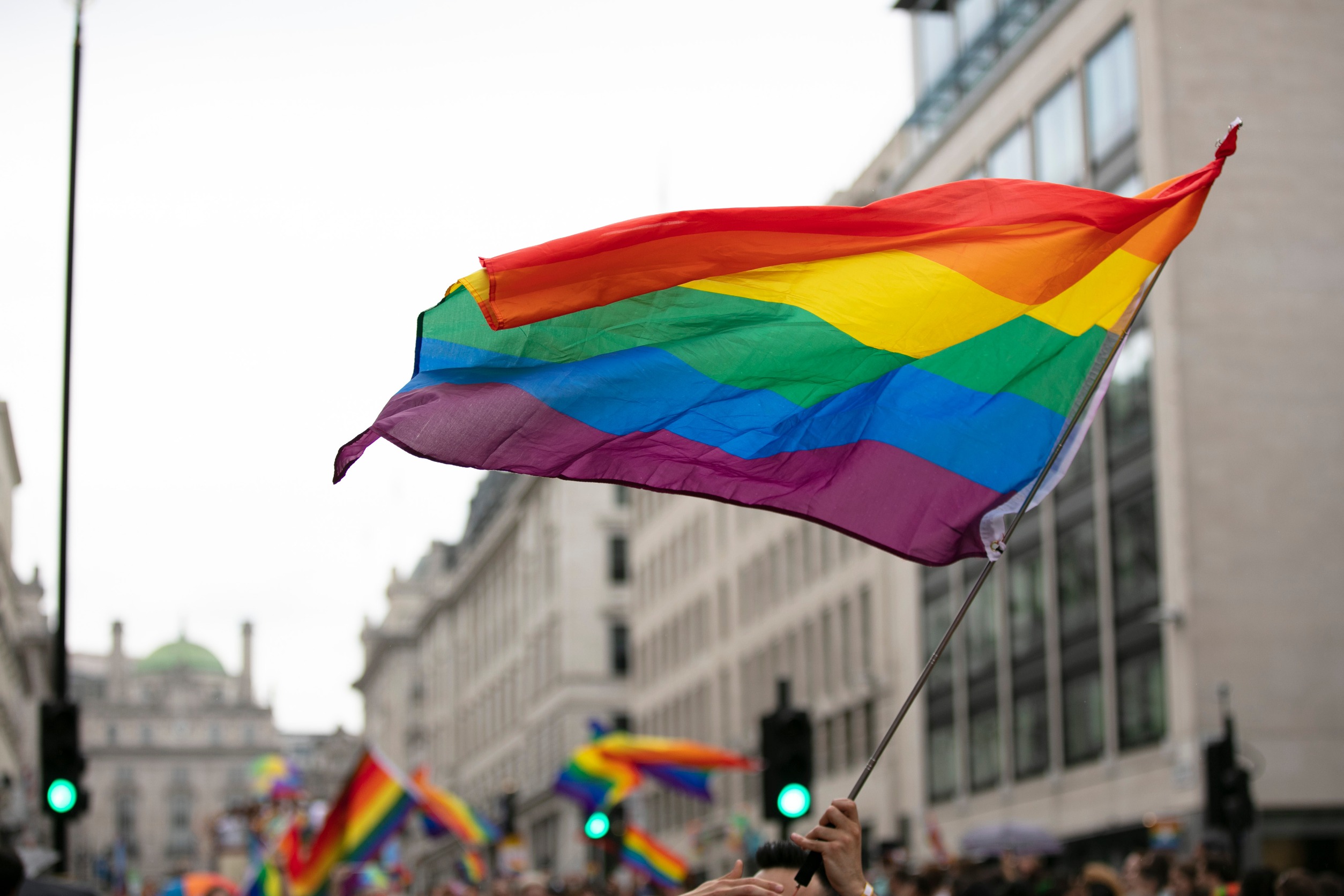 The rainbow flag, an evolving 