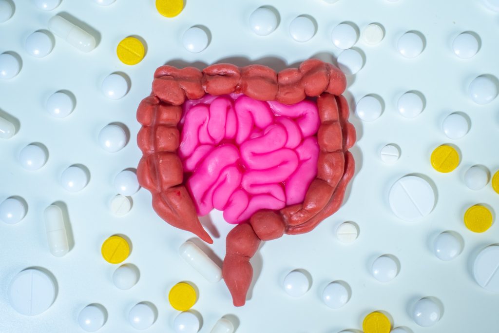 How gut health could revolutionize stroke recovery