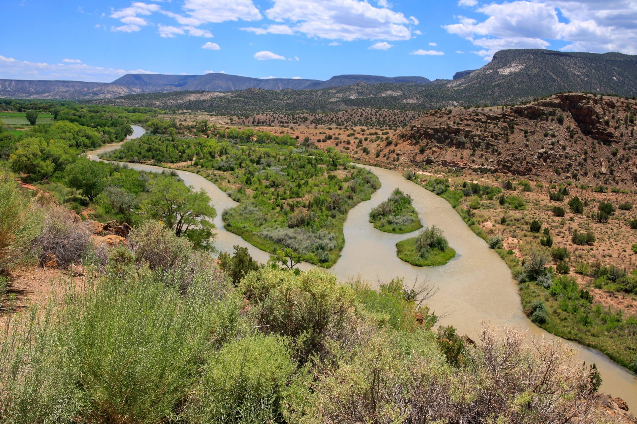 250 miles of New Mexico’