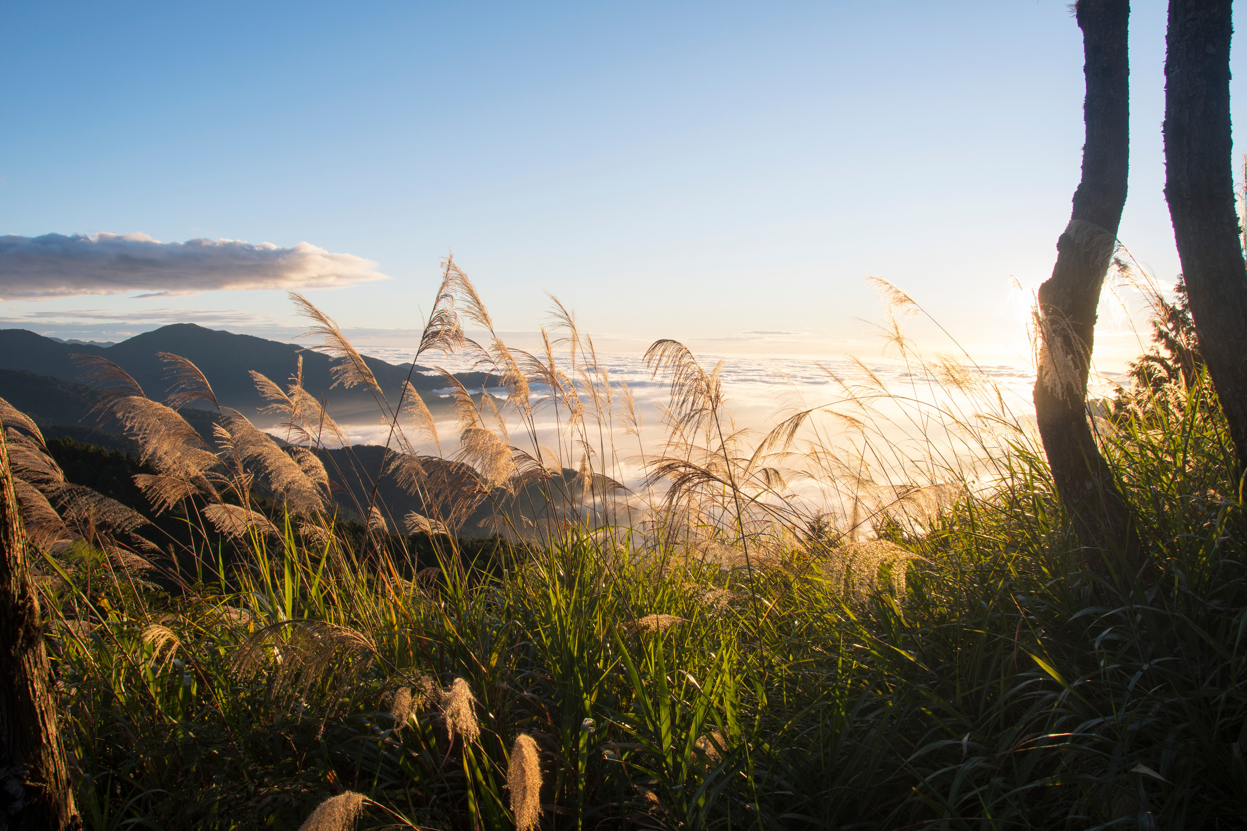 Nations agree to fund nature i