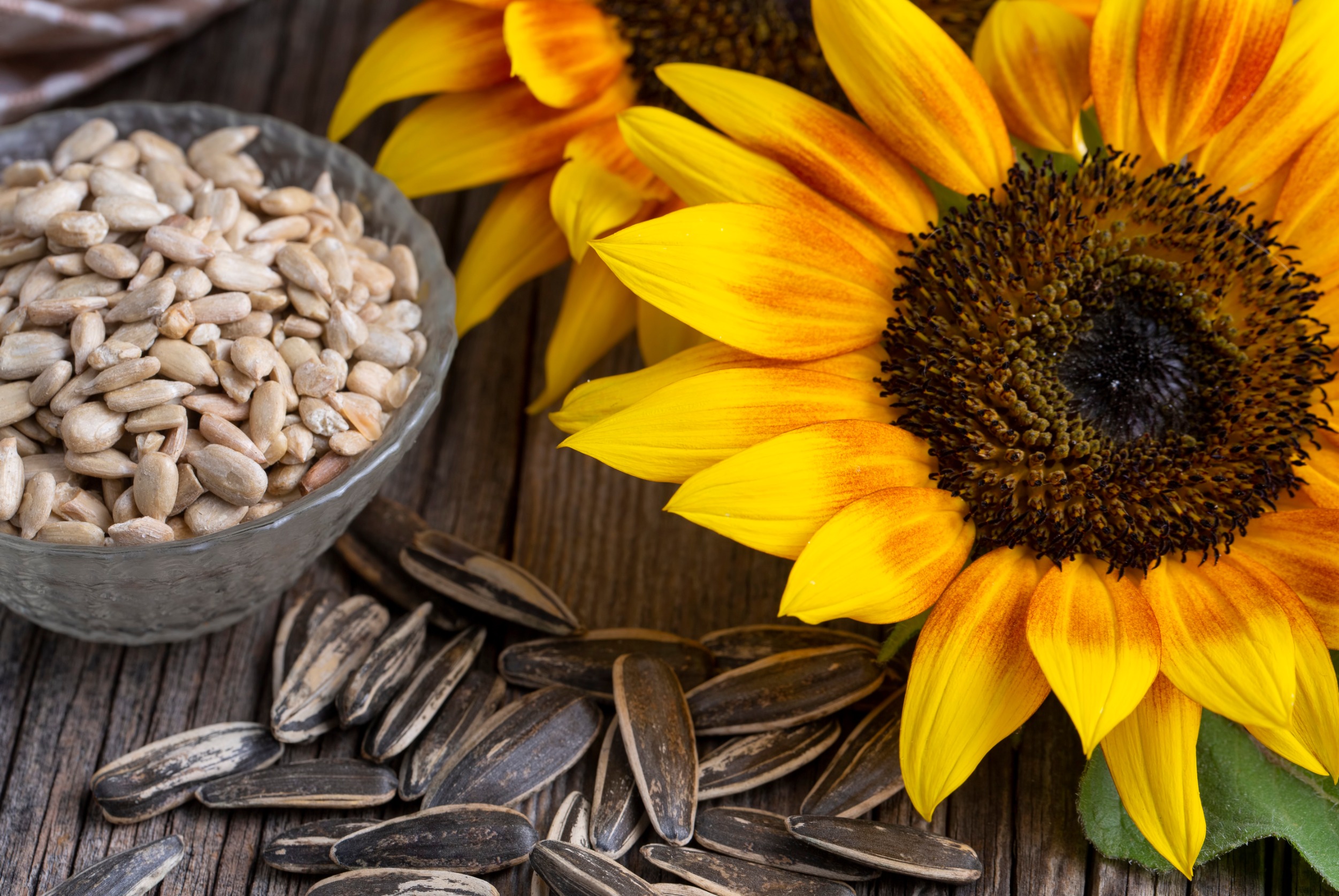 Harvesting sunflower seeds: a