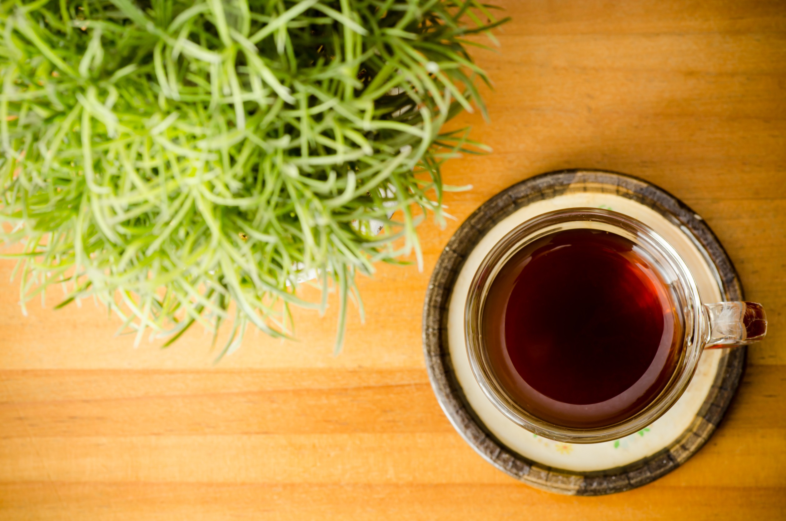 Pine needle tea: an earthy bre