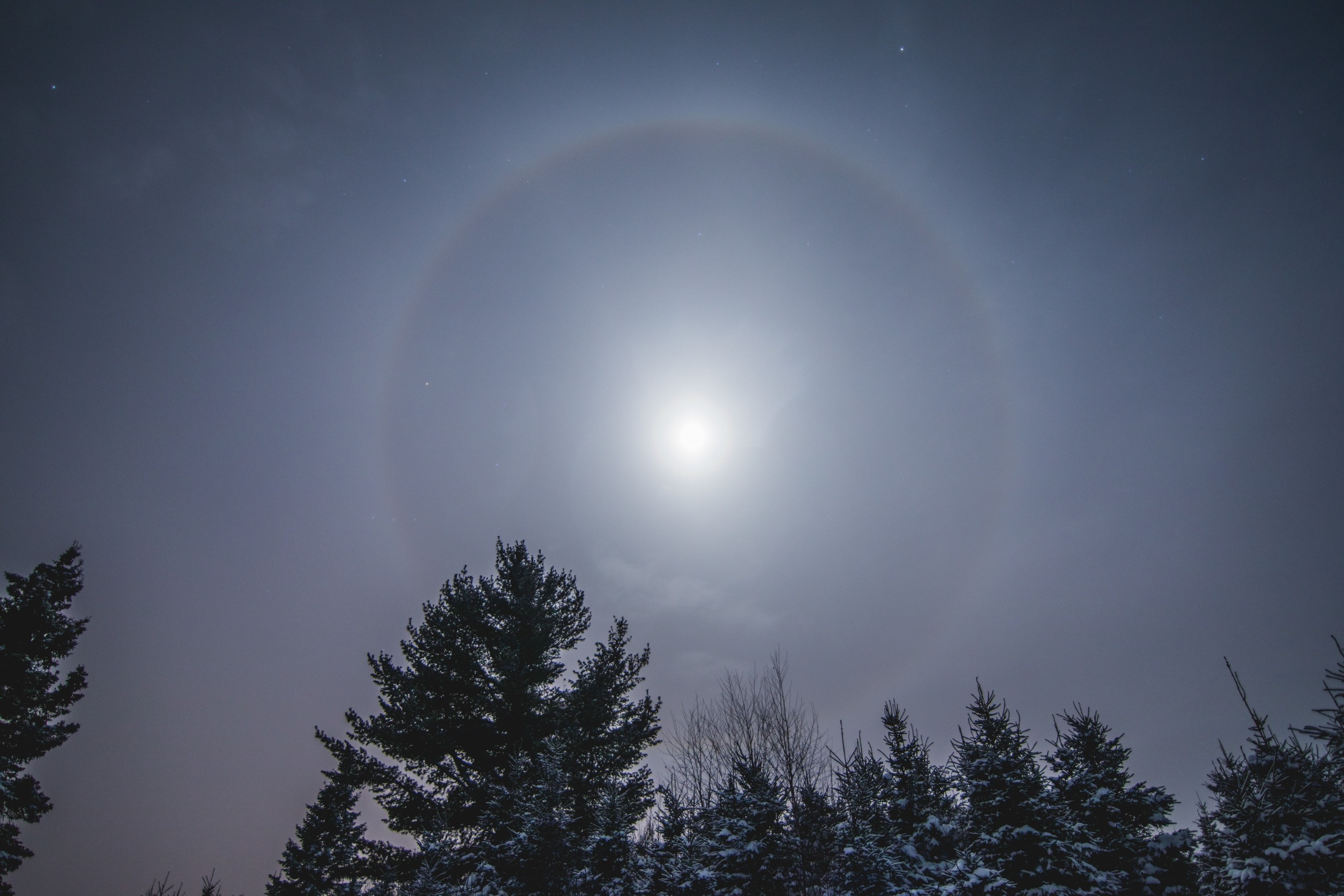 How to spot a moon ring: a gu