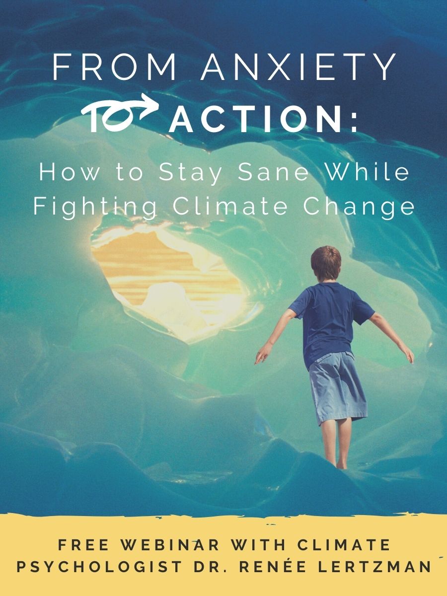 Climate Anxiety TOD Ad | The Optimist Daily: Making Solutions the News