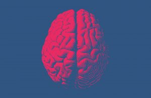 Red engraving brain illustration in top view isolated on blue background.