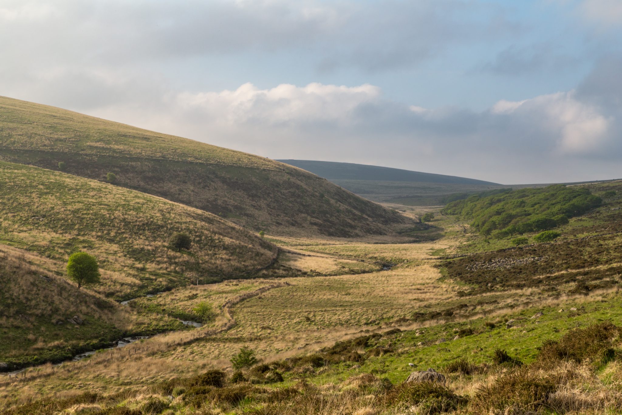 heath-and-moorland-in-southern-england-the-optimist-daily-making