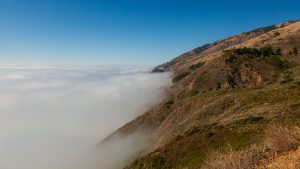 Fog nets