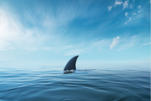 view of shark fin protruding out of the blue water against blue sky