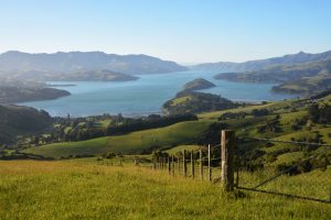 New Zealand landscape with fence