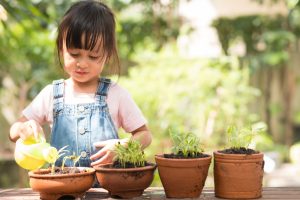 Adorable 3 years old asian little girl is watering the plant in the pots outside the house.