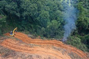 bird's eye view of machinery and deforestation