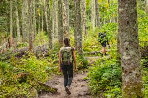 woman walking or hiking in summer nature woods during