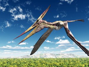 Pterosaur