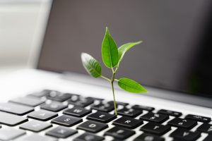 Laptop keyboard with plant growing on it. Green IT computing concept.