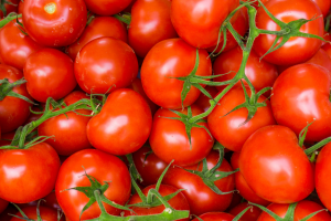 many red tomatoes