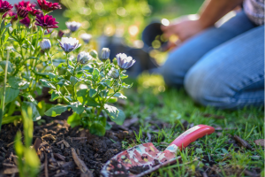 Woman gardening on a sunny spring day