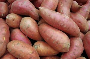 Sweet potatoes piled for market.