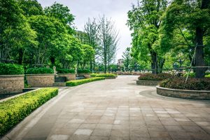 Food Forests