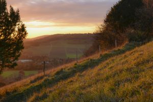 British countryside